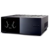 Anthem STR Power Amplifier - Finale di Potenza Stereo Hi-Fi