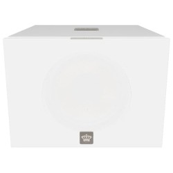 REL Acoustics S/550 - Subwoofer Amplificato Hi-Fi & Home Theatre