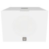REL Acoustics S/550 - Subwoofer Amplificato Hi-Fi & Home Theatre