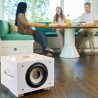 REL Acoustics S/550 - Subwoofer Amplificato Hi-Fi & Home Theatre