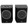 Demo Negozio - Cabasse Rialto, Diffusori Wireless Amplificati 3 Vie da Libreria Hi-Fi