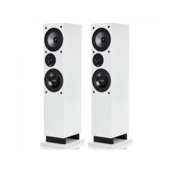 ProAC Response DT8 - Diffusori Hi-Fi 2 Vie da Pavimento