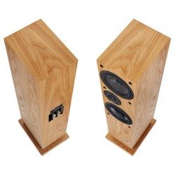 ProAC Response DT8 - Diffusori Hi-Fi 2 Vie da Pavimento