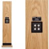 ProAC Response DT8 - Diffusori Hi-Fi 2 Vie da Pavimento