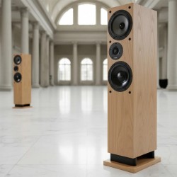 ProAC Response DT8 - Diffusori Hi-Fi 2 Vie da Pavimento