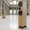 ProAC Response DT8 - Diffusori Hi-Fi 2 Vie da Pavimento