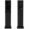 ProAC Response D20 Ribbon - Diffusori Hi-Fi 2 Vie da Pavimento