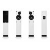 ProAC Response D20 Ribbon - Diffusori Hi-Fi 2 Vie da Pavimento