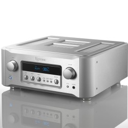 Amplificatore Integrato Stereo Hi-Fi Esoteric F-05