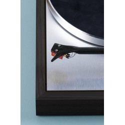 Giradischi HiFi Trazione a cinghia Pro-Ject The Classic EVO - Quintet Red