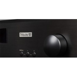 Amplificatore Integrato Stereo Hi-Fi Rotel A11 Tribute