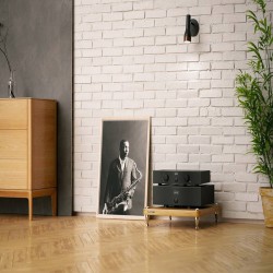 Preamplificatore Stereo Hi-Fi HEGEL P20