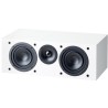 Diffusore Canale Centrale Home Theatre 2 Vie Paradigm Monitor SE 2000C