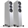 Perlisten S5t - Diffusori Hi-Fi & Home Theatre 3 Vie da Pavimento