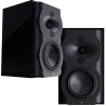 Perlisten R4b - Diffusori Hi-Fi & Home Theatre 3 Vie da Scaffale