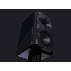 Perlisten R4b - Diffusori Hi-Fi & Home Theatre 3 Vie da Scaffale
