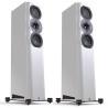 Perlisten R5t - Diffusori Hi-Fi & Home Theatre 3 Vie da Pavimento