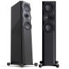 Perlisten R5t - Diffusori Hi-Fi & Home Theatre 3 Vie da Pavimento