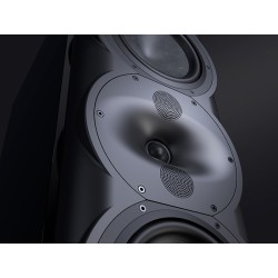 Perlisten R5t - Diffusori Hi-Fi & Home Theatre 3 Vie da Pavimento