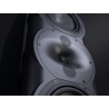Perlisten R5t - Diffusori Hi-Fi & Home Theatre 3 Vie da Pavimento