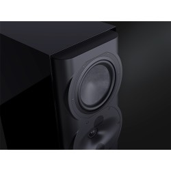 Perlisten R5t - Diffusori Hi-Fi & Home Theatre 3 Vie da Pavimento