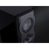 Perlisten R5t - Diffusori Hi-Fi & Home Theatre 3 Vie da Pavimento