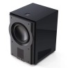 Perlisten R210s - Subwoofer Amplificato Hi-Fi & Home Theatre