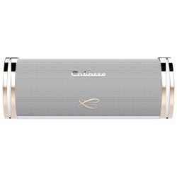Diffusore Hi-Fi Bluetooth Portatile Cabasse Swell