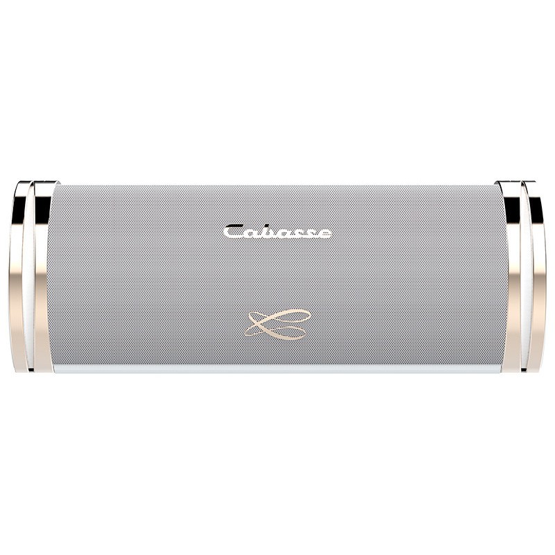 Diffusore Hi-Fi Bluetooth Portatile Cabasse Swell