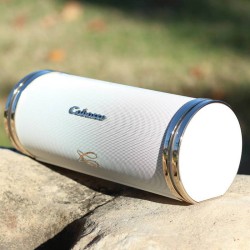 Diffusore Hi-Fi Bluetooth Portatile Cabasse Swell