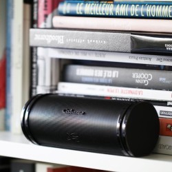 Diffusore Hi-Fi Bluetooth Portatile Cabasse Swell