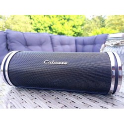 Diffusore Hi-Fi Bluetooth Portatile Cabasse Swell