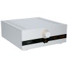 Canor Asterion V2 - Stadio Phono MM/MC a Valvole Hi-Fi