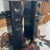 Demo Negozio - Perlisten S5t, Diffusori da Pavimento 3 Vie Hi-Fi & Home Theatre