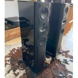 Demo Negozio - Perlisten S5t, Diffusori da Pavimento 3 Vie Hi-Fi & Home Theatre