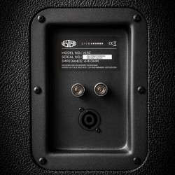 Vestlyd V15C - Diffusori Hi-Fi 2 Vie da Stand / Pavimento