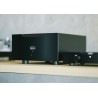 Amplificatore Finale Mono Hi-Fi HEGEL H30A