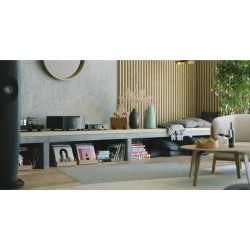 Amplificatore Finale Mono Hi-Fi HEGEL H30A