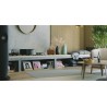 Amplificatore Finale Mono Hi-Fi HEGEL H30A