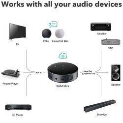 WiiM Mini - Streamer DAC di Rete Hi-Fi