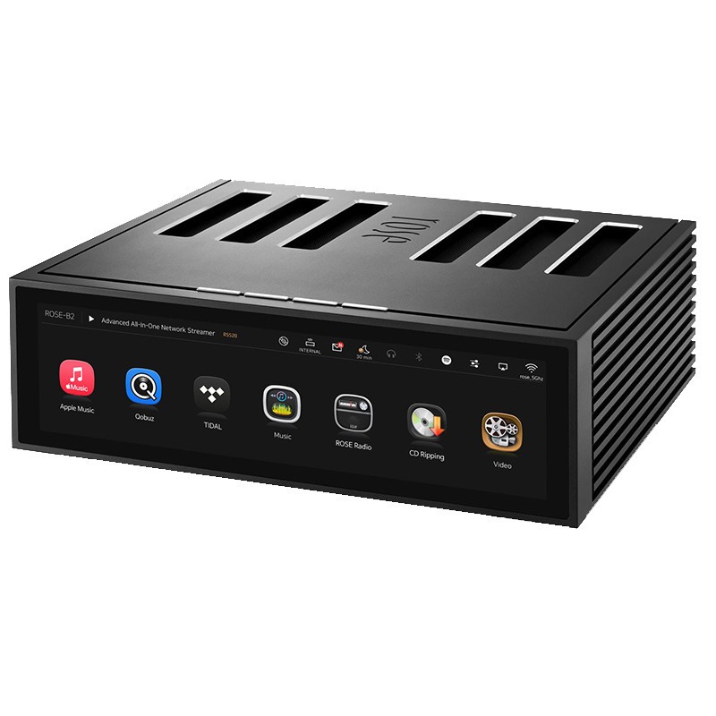Streamer di Rete Amplificato con DAC Hi-Fi Rose RS520 Streamer di Rete Amplificato con DAC Hi-Fi Rose RS520