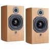 ATC SCM19 - Diffusori Hi-Fi 2 Vie da Scaffale