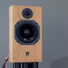 ATC SCM19 - Diffusori Hi-Fi 2 Vie da Scaffale