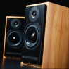 ATC SCM20 - Diffusori Hi-Fi 2 Vie da Scaffale