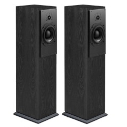 Diffusori Hi-Fi 2 Vie da Pavimento ATC SCM20 SL