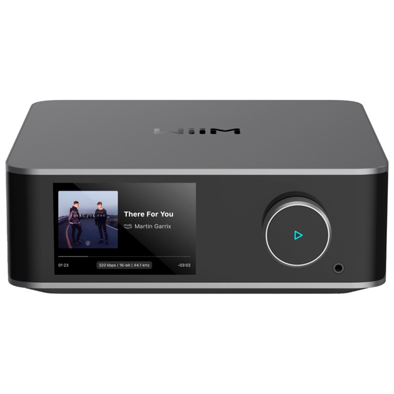 WiiM Ultra - Preamplificatore con Streamer & DAC