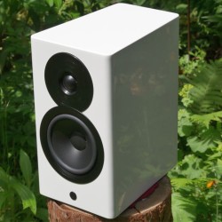 Diffusori Bookshelf Hi-Fi Attivi Wireless 2 Vie Dynaudio Focus 10