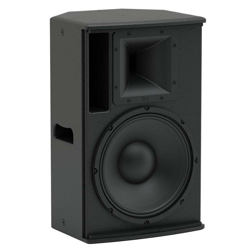 Diffusore Attivo Professionale 2 Vie Martin Audio BlacklineX Powered XP12