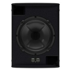 Diffusore Coassiale Passivo Professionale 2 Vie Martin Audio FlexPoint FP12