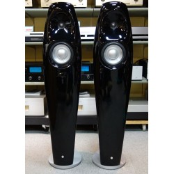 Vivid Audio Kaya 25 - Diffusori Hi-Fi 2 Vie da Pavimento